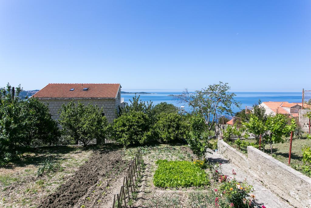 Apartmani Kate, Plat Mlini Zimmer foto